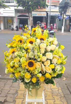 Shop Hoa Tươi Thị Xã Hồng Ngự, Tỉnh Đồng Tháp