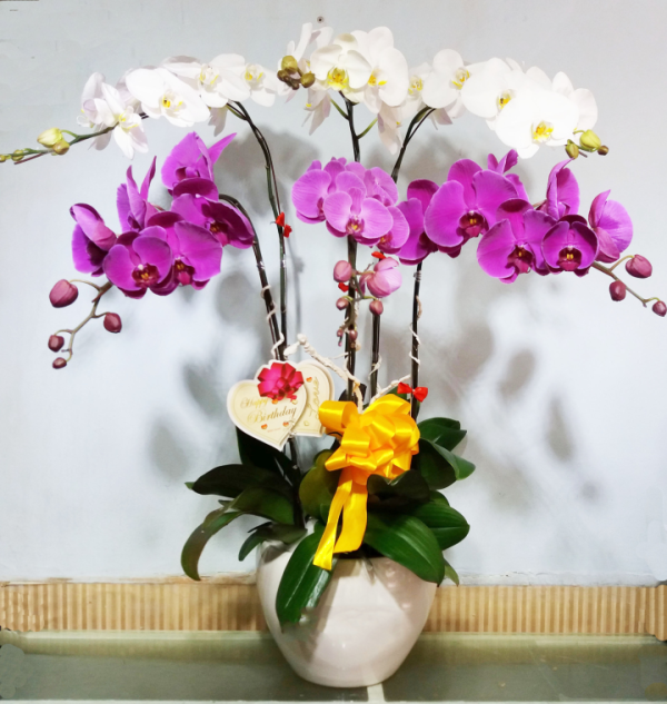 Shop Hoa Tươi Thành Phố Sa Đéc, Tỉnh Đồng Tháp